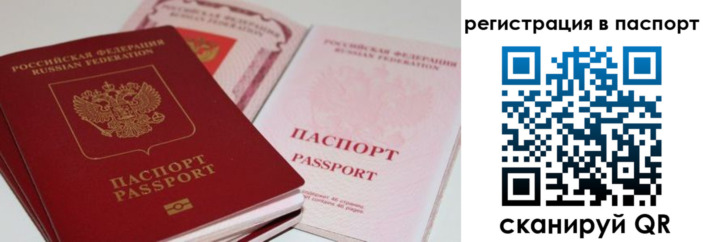 найти адрес прописки в Новом Осколе
